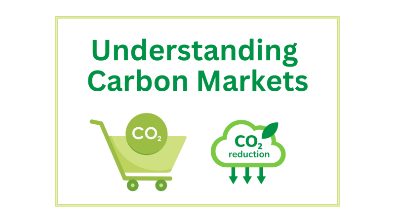 Understanding Carbon Markets