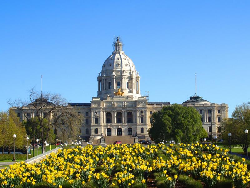 Saint Paul Capitol with daffodils blooming in foreground