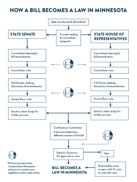 Diagram illustrating how a bill becomes a law in Minneosta