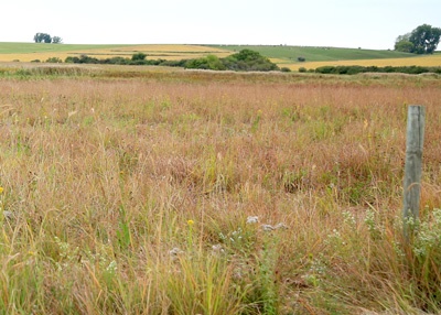 Worthington Wells Wildlife Management Area