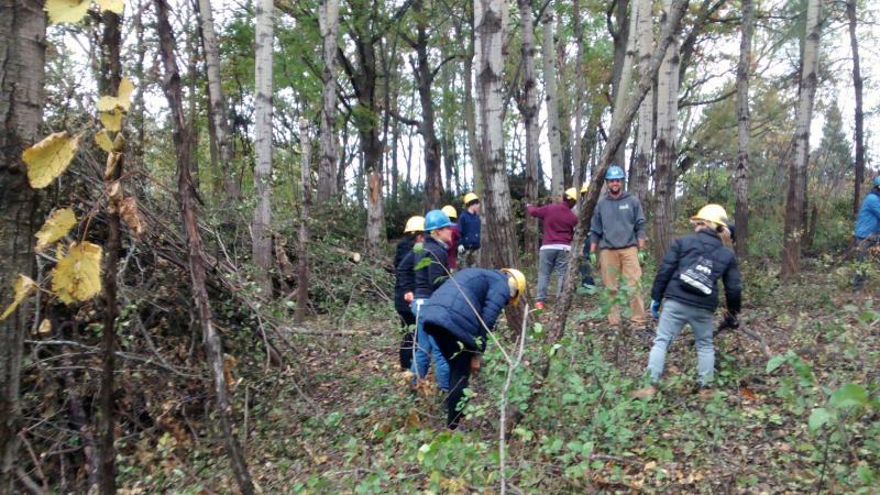 People with hard hats working in woods 