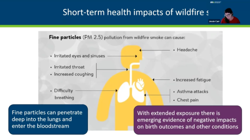 short term health impacts of wildfire slide