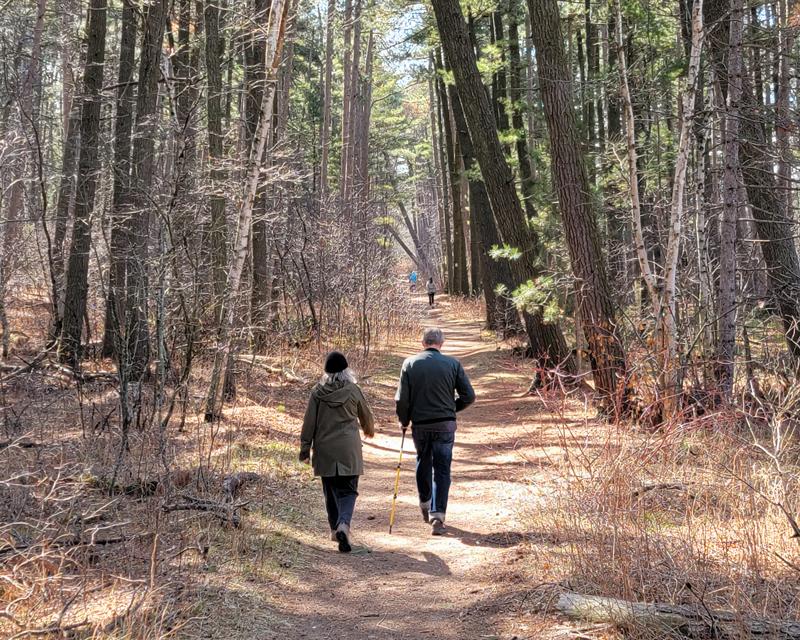 Hiking through the forest with a walking stick