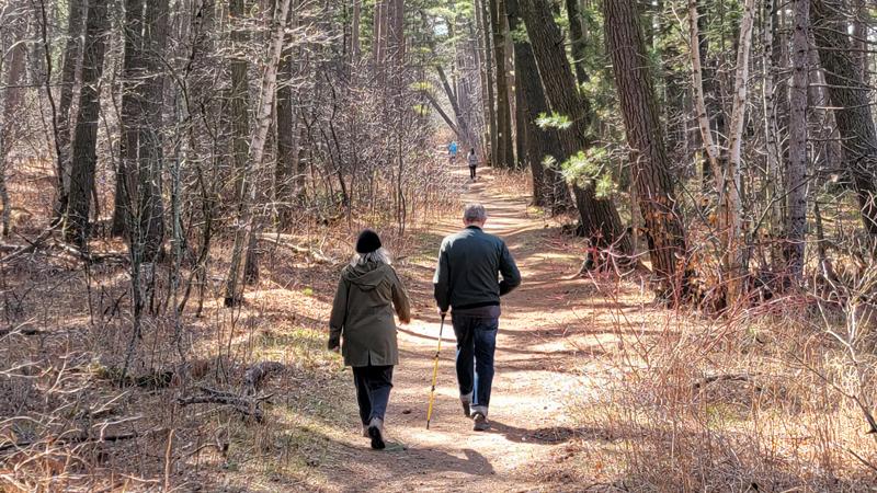 Hiking through the forest with a walking stick