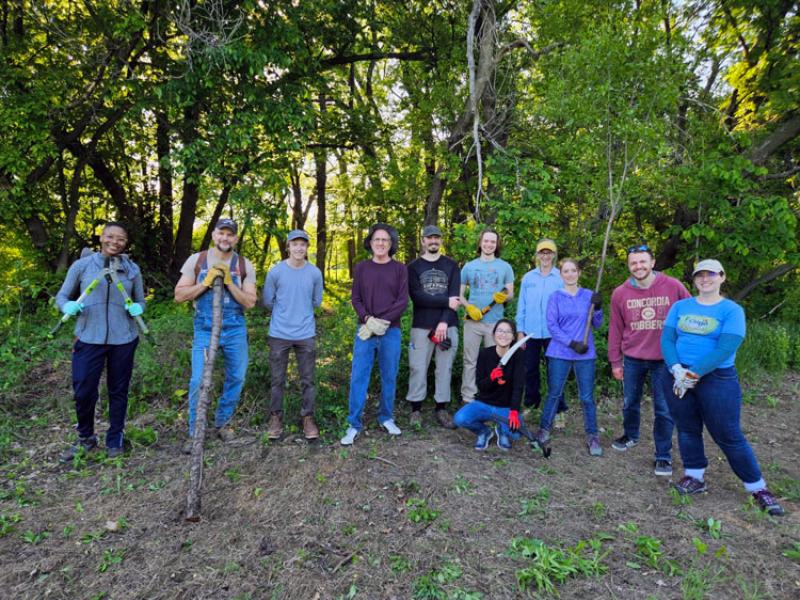 In Moorhead a group who cleared buckthorn